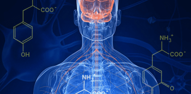 [MikeD] Как восстановить дофаминовые рецепторы и н_0.png